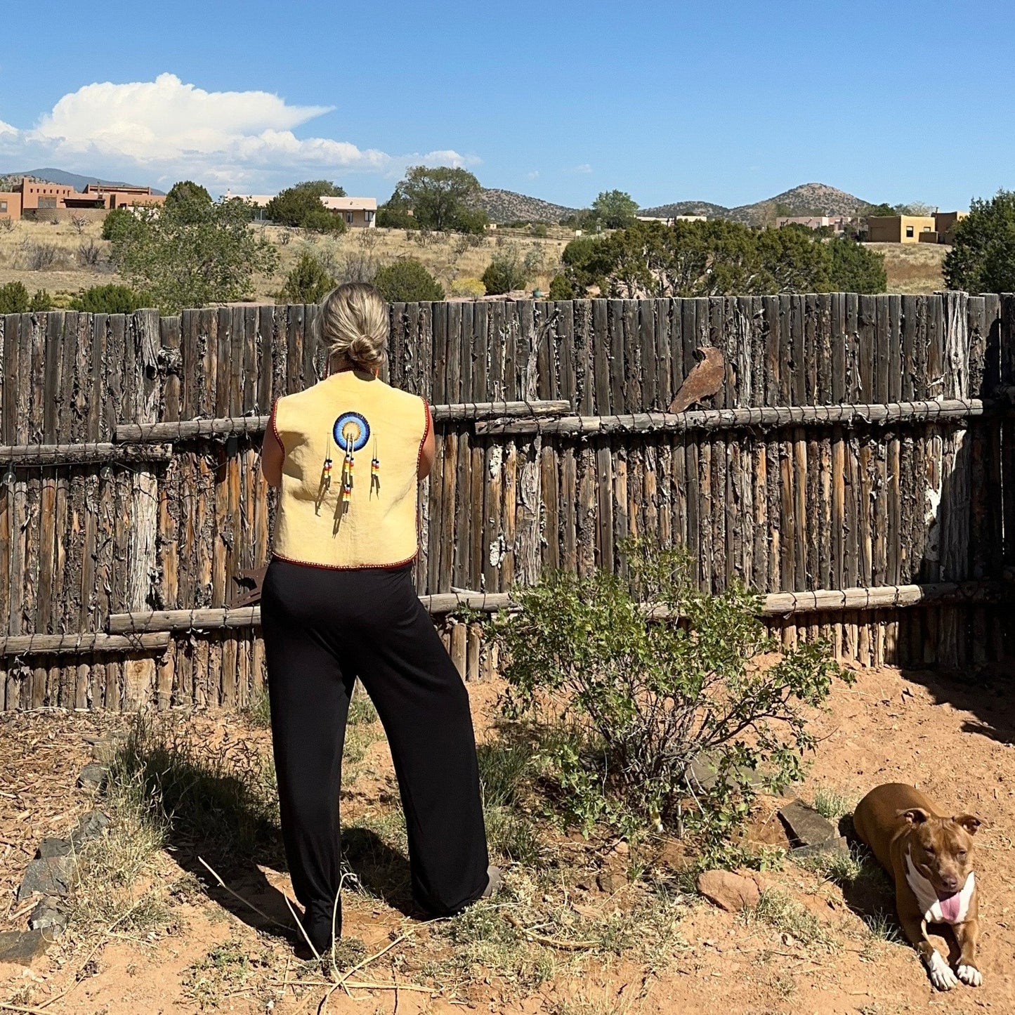 Vintage Oglala Lakota Beaded Pictorial Horse Vest By Douglas Fast Horse - Turquoise & Tufa