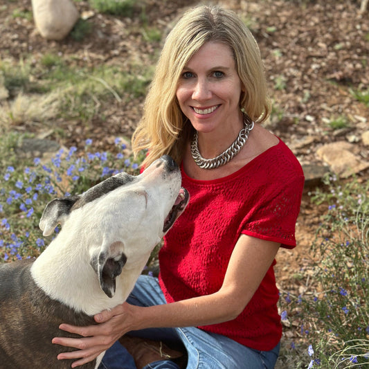Vintage William Spratling Silver Necklace Medium Sized Links First Design Period - Turquoise & Tufa