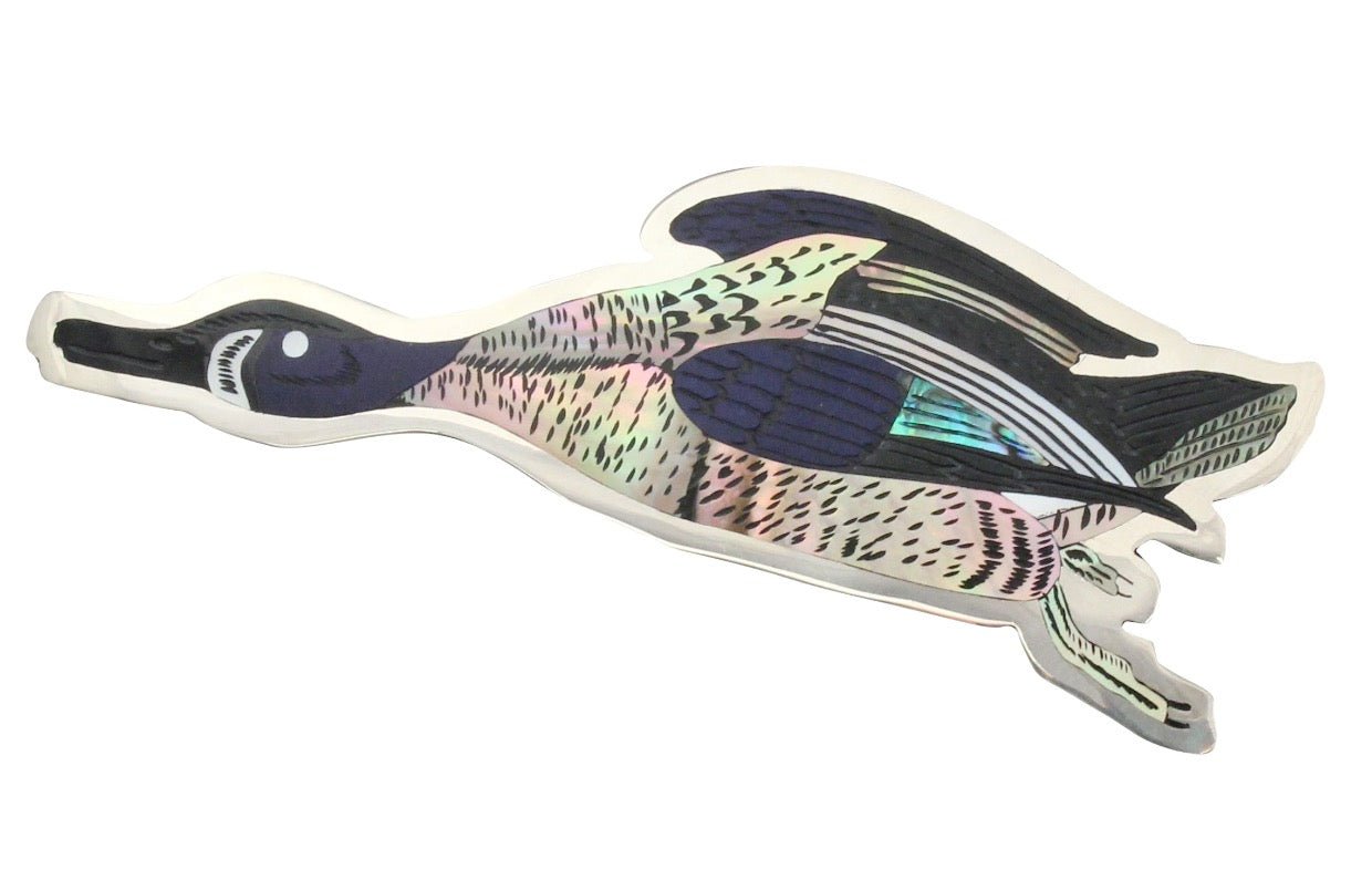 Dale Edaakie Brooch of Inlay Blue Winged Teal From Audubon Birds - Turquoise & Tufa