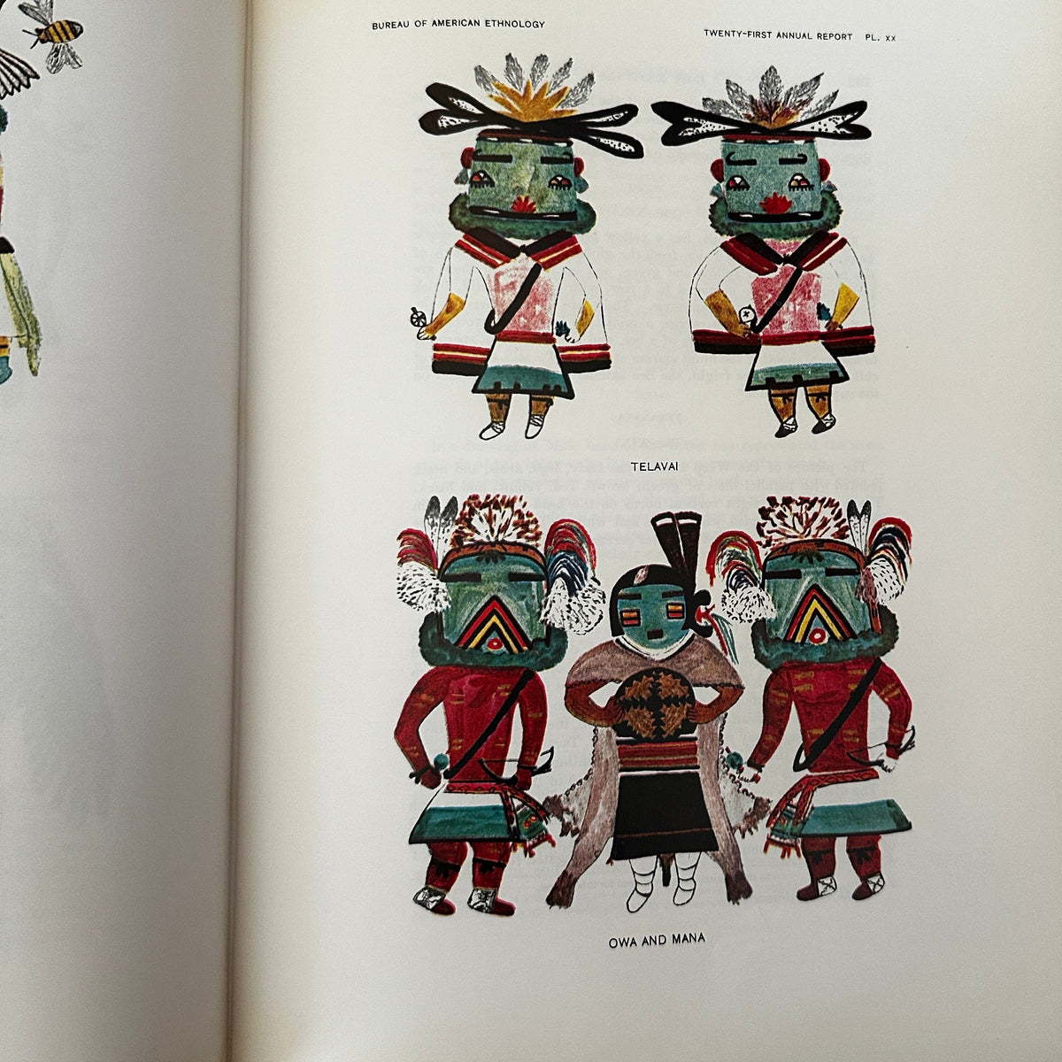 Book Hopi Katcinas Drawn By Native Artists By Fewkes Illustrations