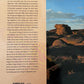 Collective Willeto: The Visionary Carvings of a Navajo Artist Back Cover