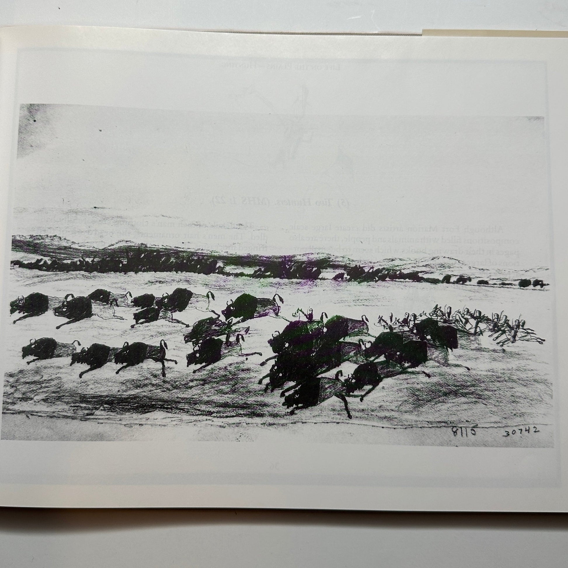 Book Between Two Cultures Kiowa Art From Fort Marion - Turquoise & Tufa