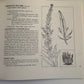 Book: Nanise' A Navajo Herbal One Hundred Plants From the Navajo Reservation - Turquoise & Tufa