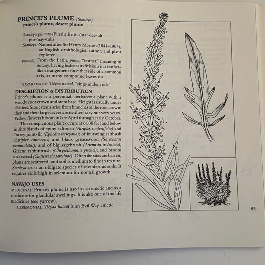 Book: Nanise' A Navajo Herbal One Hundred Plants From the Navajo Reservation - Turquoise & Tufa