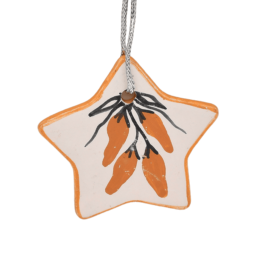 Handmade Pottery Star Ornament by Hilda Tenorio Coriz - Turquoise & Tufa