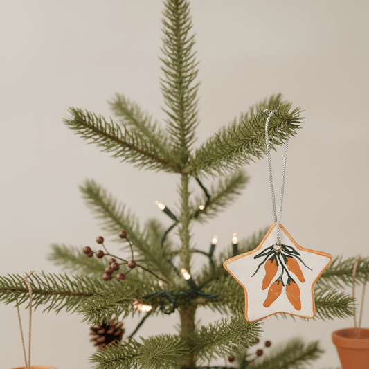 Handmade Pottery Star Ornament by Hilda Tenorio Coriz - Turquoise & Tufa