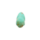 Vintage Zuni Beaver Fetish of Turquoise - Turquoise & Tufa