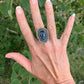 Tommy Jackson Ring of Apache Blue Turquoise - Turquoise & Tufa